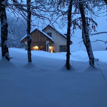 Loft Naturalpina Dolomiti Farm Belluno Exterior foto