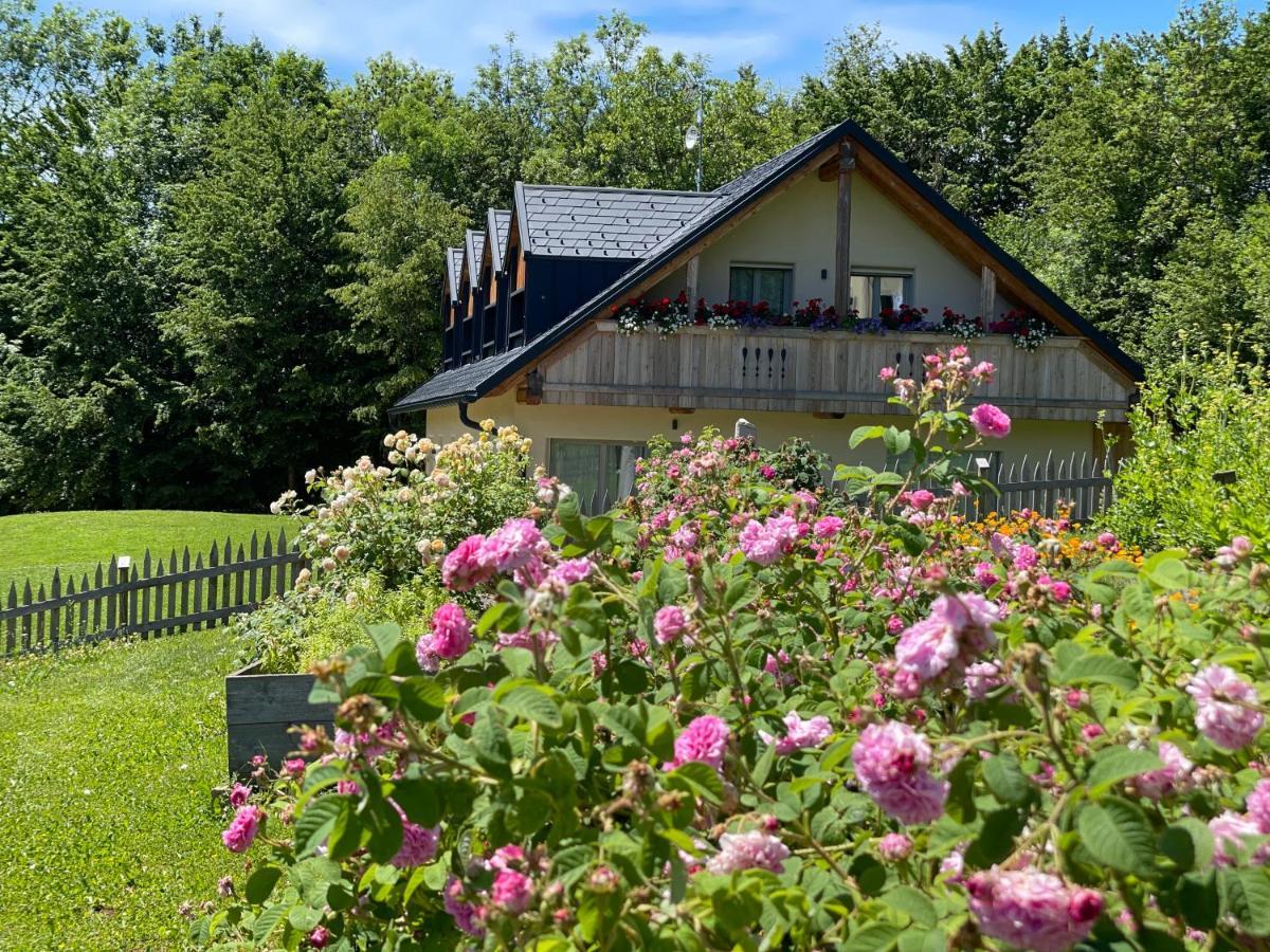 Loft Naturalpina Dolomiti Farm Belluno Exterior foto